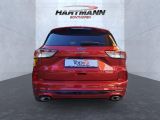 Ford Kuga bei Gebrauchtwagen.expert - Abbildung (9 / 15)