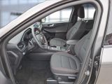 Ford Kuga bei Gebrauchtwagen.expert - Abbildung (12 / 15)