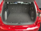 Ford Kuga bei Gebrauchtwagen.expert - Abbildung (14 / 15)