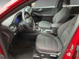 Ford Kuga bei Gebrauchtwagen.expert - Abbildung (7 / 15)