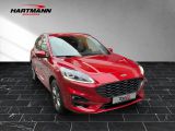Ford Kuga bei Gebrauchtwagen.expert - Abbildung (5 / 15)