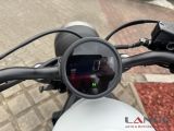 Honda 500 Rebel bei Gebrauchtwagen.expert - Abbildung (12 / 13) Honda 500 Rebel bei Gebrauchtwagen.expert - Abbildung (12 / 13)