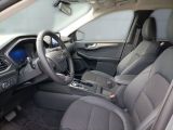 Ford Kuga bei Gebrauchtwagen.expert - Abbildung (9 / 15)