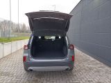 Ford Kuga bei Gebrauchtwagen.expert - Abbildung (14 / 15)