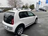 VW Cross bei Gebrauchtwagen.expert - Abbildung (3 / 8)