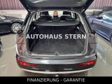 Audi Q5 bei Gebrauchtwagen.expert - Abbildung (7 / 15)