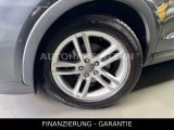 Audi Q3 bei Gebrauchtwagen.expert - Abbildung (5 / 15)