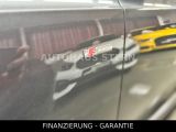 Audi Q3 bei Gebrauchtwagen.expert - Abbildung (6 / 15)