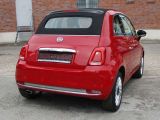 Fiat 500 C bei Gebrauchtwagen.expert - Abbildung (13 / 15) Fiat 500 C bei Gebrauchtwagen.expert - Abbildung (13 / 15)