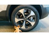 Volvo XC40 bei Gebrauchtwagen.expert - Abbildung (4 / 15)