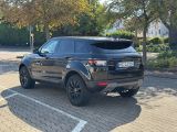 Land Rover Range Rover Evoque bei Gebrauchtwagen.expert - Abbildung (7 / 15)