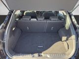 Ford Puma bei Gebrauchtwagen.expert - Abbildung (15 / 15)