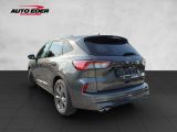 Ford Kuga bei Gebrauchtwagen.expert - Abbildung (3 / 15)