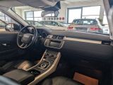 Land Rover Range Rover Evoque bei Gebrauchtwagen.expert - Abbildung (13 / 15)