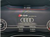 Audi SQ5 bei Gebrauchtwagen.expert - Abbildung (13 / 15)