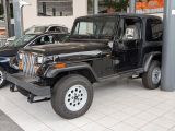 Jeep Wrangler bei Gebrauchtwagen.expert - Abbildung (6 / 15)