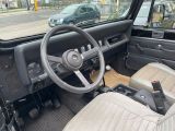 Jeep Wrangler bei Gebrauchtwagen.expert - Abbildung (12 / 15)