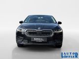 Skoda Fabia bei Gebrauchtwagen.expert - Abbildung (8 / 15)