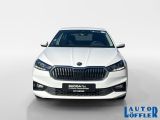 Skoda Fabia bei Gebrauchtwagen.expert - Abbildung (8 / 15)