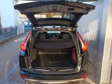 Honda CR-V bei Gebrauchtwagen.expert - Abbildung (7 / 15)