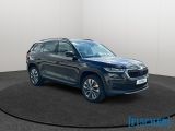 Skoda Kodiaq bei Gebrauchtwagen.expert - Abbildung (3 / 15)