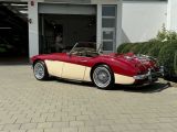Austin Healey 3000 bei Gebrauchtwagen.expert - Abbildung (7 / 15)