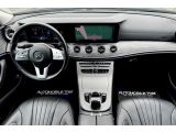 Mercedes-Benz CLS-Klasse bei Gebrauchtwagen.expert - Abbildung (11 / 15)