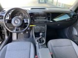 VW Beetle bei Gebrauchtwagen.expert - Abbildung (7 / 15)