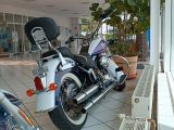 Harley-Davidson Softail bei Gebrauchtwagen.expert - Abbildung (4 / 8)
