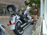 Harley-Davidson Softail bei Gebrauchtwagen.expert - Abbildung (4 / 9)