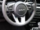 Kia XCeed bei Gebrauchtwagen.expert - Abbildung (14 / 15)