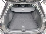 VW Golf VIII bei Gebrauchtwagen.expert - Abbildung (9 / 11)
