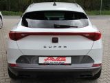 Cupra Formentor bei Gebrauchtwagen.expert - Abbildung (13 / 15)