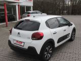 Citroen C3 bei Gebrauchtwagen.expert - Abbildung (6 / 12)