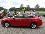 Skoda Octavia bei Gebrauchtwagen.expert - Abbildung (2 / 15)