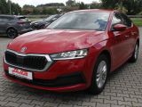 Skoda Octavia bei Gebrauchtwagen.expert - Abbildung (4 / 15)