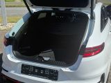 Kia Pro Ceed bei Gebrauchtwagen.expert - Abbildung (8 / 15)