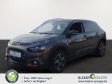 Citroen C4 Cactus bei Gebrauchtwagen.expert - Abbildung (3 / 14)
