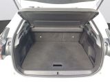 Citroen C4 bei Gebrauchtwagen.expert - Abbildung (6 / 12) Citroen C4 bei Gebrauchtwagen.expert - Abbildung (6 / 12)