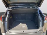 Peugeot 3008 bei Gebrauchtwagen.expert - Abbildung (8 / 14)
