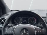 Mercedes-Benz B-Klasse bei Gebrauchtwagen.expert - Abbildung (14 / 15) Mercedes-Benz B-Klasse bei Gebrauchtwagen.expert - Abbildung (14 / 15)