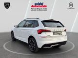 Skoda Kamiq bei Gebrauchtwagen.expert - Abbildung (3 / 15)