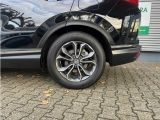 Honda CR-V bei Gebrauchtwagen.expert - Abbildung (7 / 15)