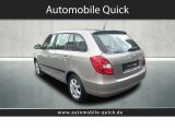 Skoda Fabia bei Gebrauchtwagen.expert - Abbildung (5 / 15)