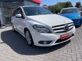 Mercedes-Benz B-Klasse bei Gebrauchtwagen.expert - Abbildung (3 / 15)