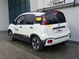 Fiat Panda bei Gebrauchtwagen.expert - Abbildung (3 / 15)