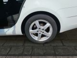 Skoda Octavia bei Gebrauchtwagen.expert - Abbildung (13 / 15) Skoda Octavia bei Gebrauchtwagen.expert - Abbildung (13 / 15)