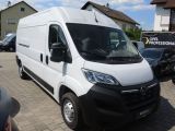Opel Movano bei Gebrauchtwagen.expert - Abbildung (3 / 15)