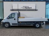 Opel Movano bei Gebrauchtwagen.expert - Abbildung (2 / 15) Opel Movano bei Gebrauchtwagen.expert - Abbildung (2 / 15)