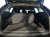 Skoda Octavia bei Gebrauchtwagen.expert - Abbildung (15 / 15) Skoda Octavia bei Gebrauchtwagen.expert - Abbildung (15 / 15)